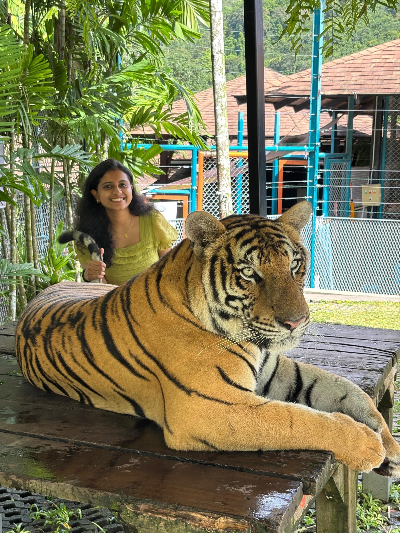 Friends hiking in mountains